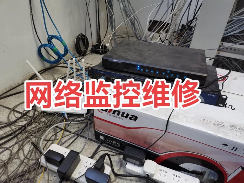 信息行业的蝶变：上海文亢视角下的数字脉络